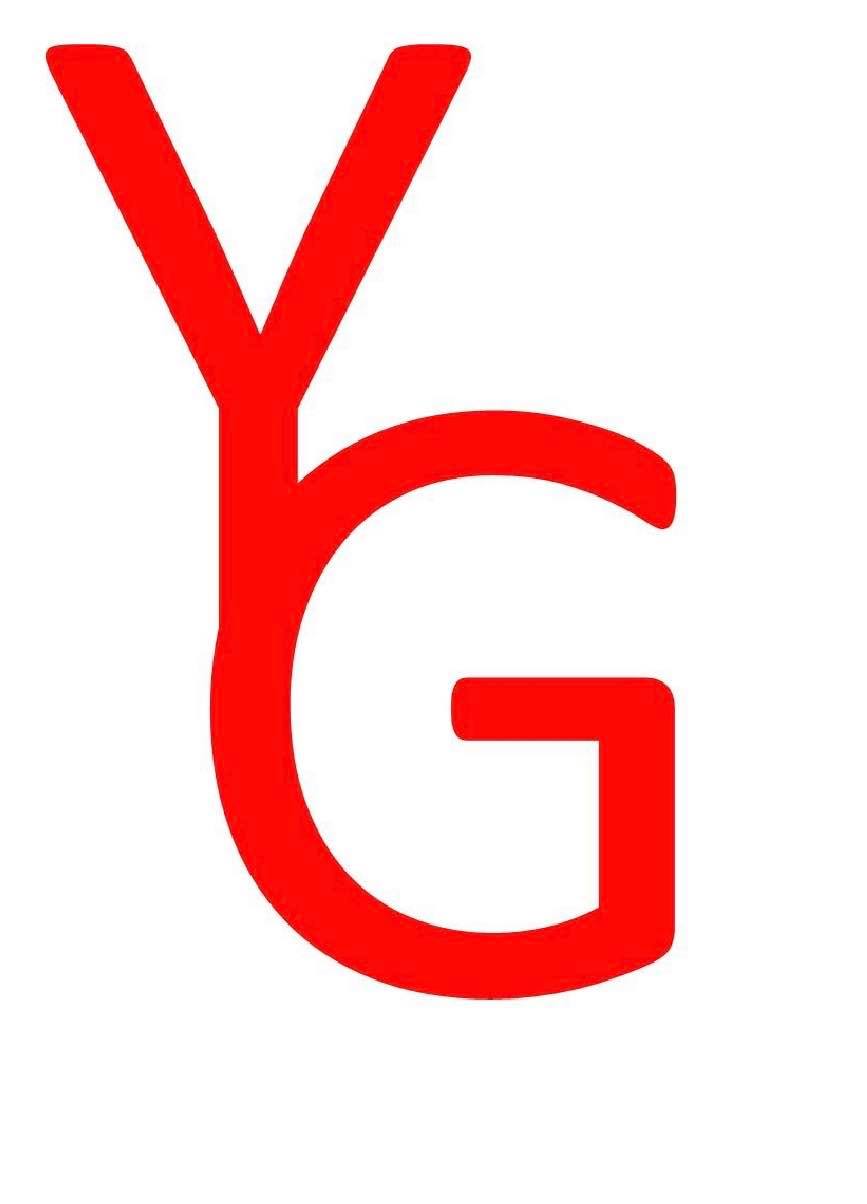 Young Guns Logo
